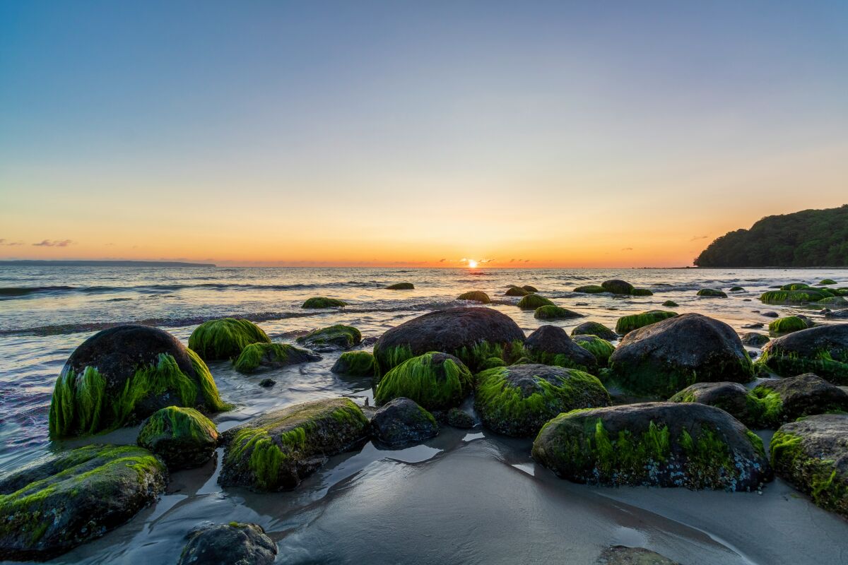 Steine und Meer am Strand von Binz